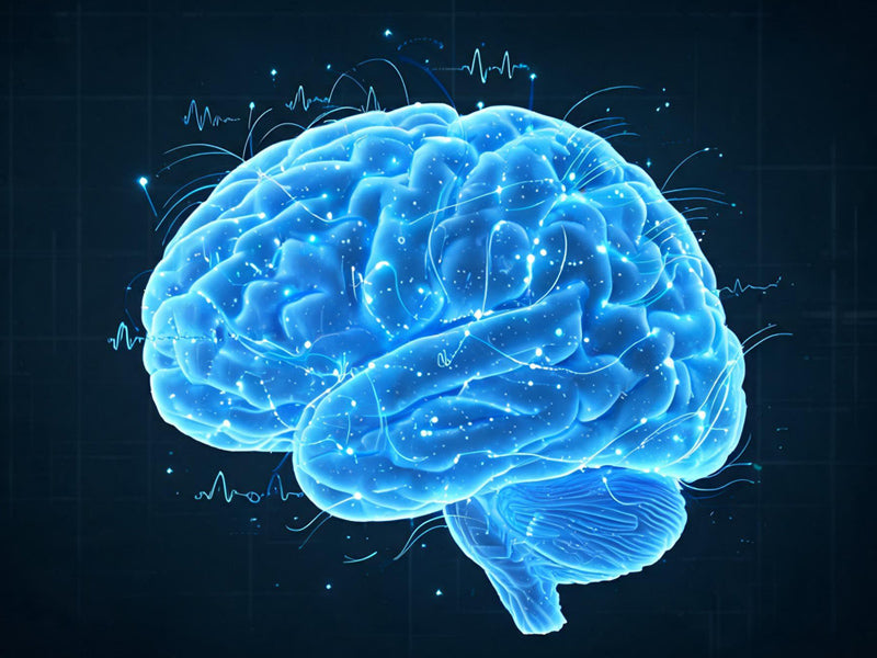 brainwave entrainment